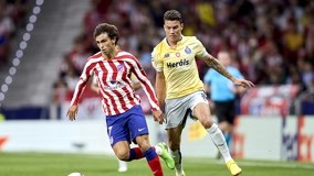 放大了这些 放大了这些